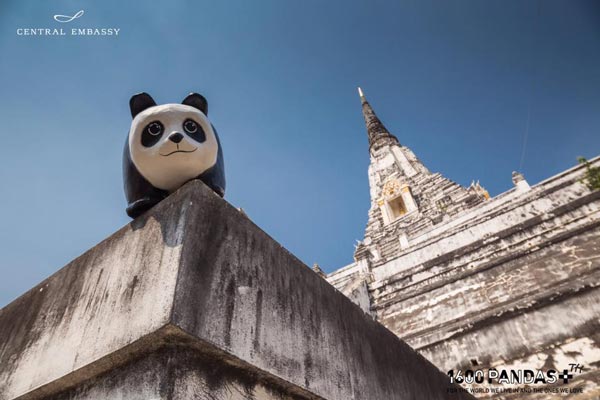 แพนด้า 1,600 ตัว แพนด้า 1,600 ตัว