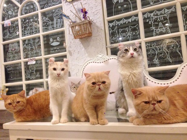 ร้านคนดัง ร้านคนดัง