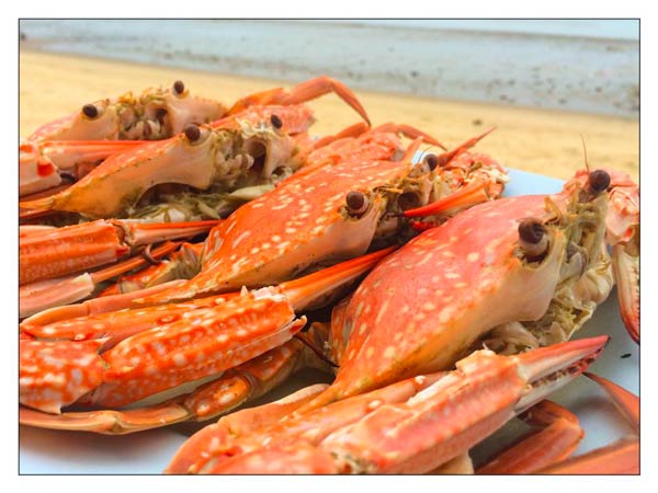 ร้านอาหารปราณบุรี ร้านอาหารปราณบุรี