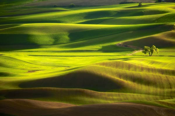 ที่เที่ยวอเมริกา The Palouse รัฐวอชิงตันและรัฐไอดาโฮ