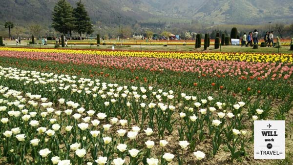 เที่ยวแคชเมียร์ เที่ยวแคชเมียร์