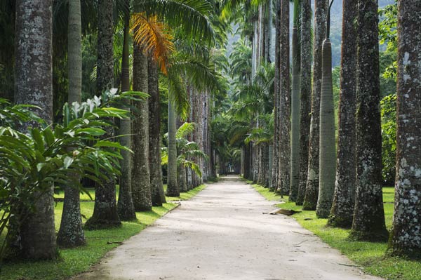 ที่เที่ยวริโอ เดอ จาเนโร บราซิล ที่เที่ยวริโอ เดอ จาเนโร บราซิล