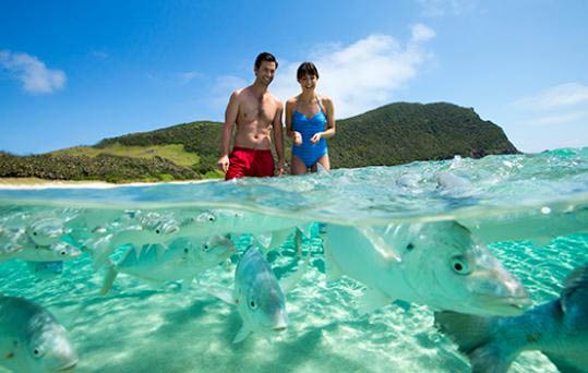 Lord Howe Island Lord Howe Island