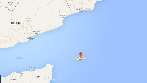 เกาะ Socotra เกาะ Socotra