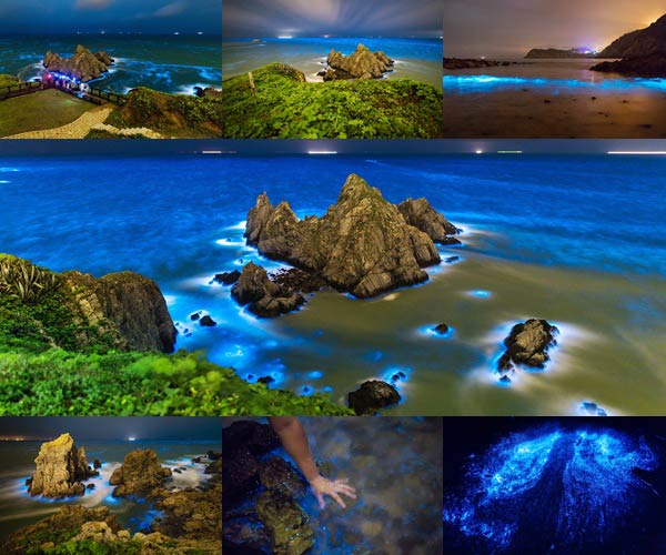 ทะเลเรืองแสงสีฟ้า หมู่เกาะ Matsu ทะเลเรืองแสงสีฟ้า หมู่เกาะ Matsu