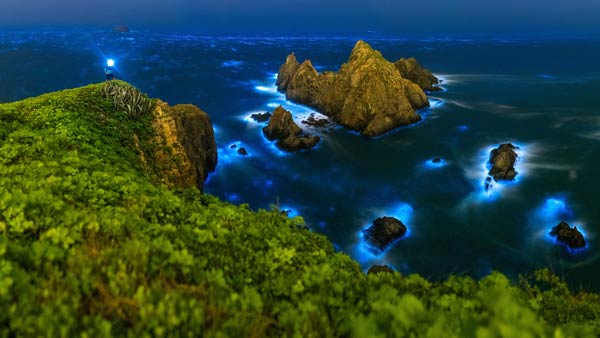 ทะเลเรืองแสงสีฟ้า หมู่เกาะ Matsu ทะเลเรืองแสงสีฟ้า หมู่เกาะ Matsu