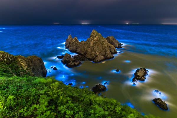 ทะเลเรืองแสงสีฟ้า หมู่เกาะ Matsu ทะเลเรืองแสงสีฟ้า หมู่เกาะ Matsu