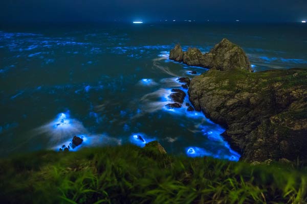 ทะเลเรืองแสงสีฟ้า หมู่เกาะ Matsu ทะเลเรืองแสงสีฟ้า หมู่เกาะ Matsu