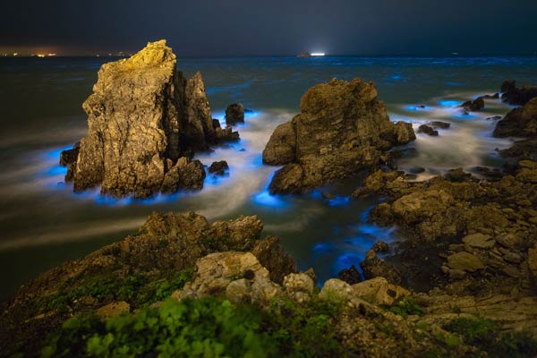 ทะเลเรืองแสงสีฟ้า หมู่เกาะ Matsu ทะเลเรืองแสงสีฟ้า หมู่เกาะ Matsu