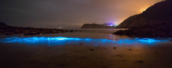ทะเลเรืองแสงสีฟ้า หมู่เกาะ Matsu ทะเลเรืองแสงสีฟ้า หมู่เกาะ Matsu