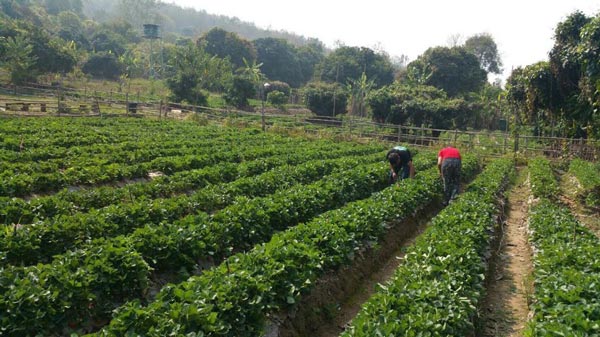 ที่พักวิวสวย ที่พักวิวสวย