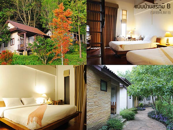 ที่พักโครงการหลวง ที่พักโครงการหลวง