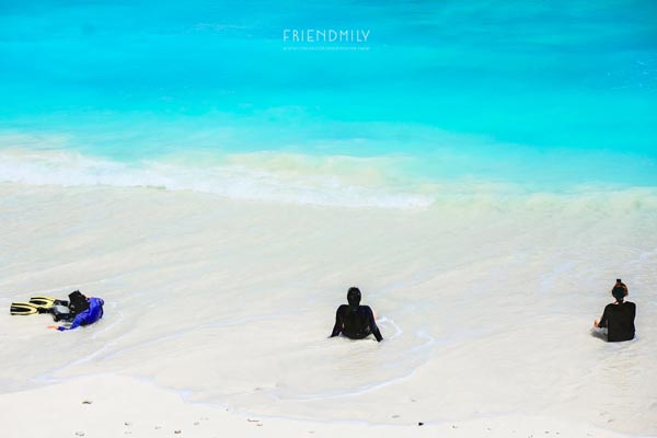 เกาะลอร์ด เฮฟเว่น เกาะลอร์ด เฮฟเว่น