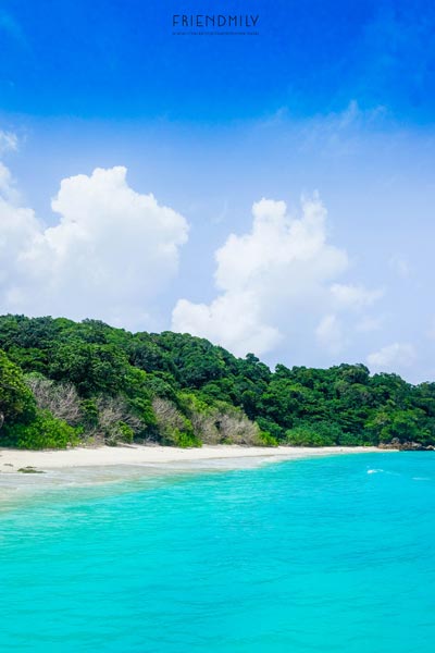 เกาะลอร์ด เฮฟเว่น เกาะลอร์ด เฮฟเว่น