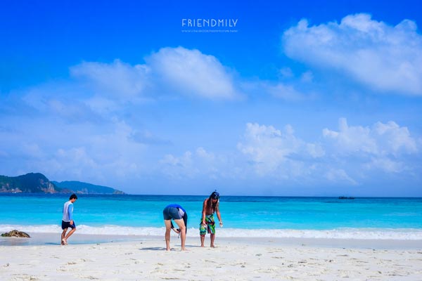 เกาะลอร์ด เฮฟเว่น เกาะลอร์ด เฮฟเว่น