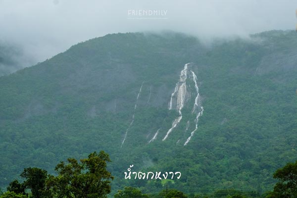 เกาะลอร์ด เฮฟเว่น เกาะลอร์ด เฮฟเว่น