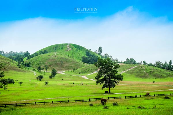 เกาะลอร์ด เฮฟเว่น เกาะลอร์ด เฮฟเว่น