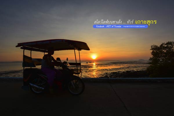 เกาะสุกร เกาะสุกร