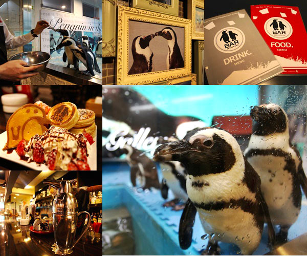 Penguin Bar Ikebukuro Penguin Bar Ikebukuro
