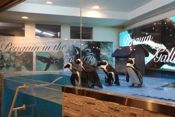 Penguin Bar Ikebukuro Penguin Bar Ikebukuro