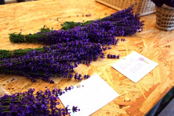 Horomitoge Lavender Garden ซัปโปโร Horomitoge Lavender Garden ซัปโปโร