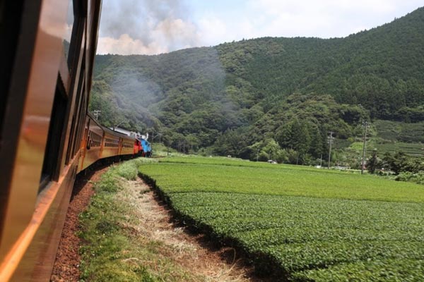 รถไฟโทมัสและเพื่อน รถไฟโทมัสและเพื่อน