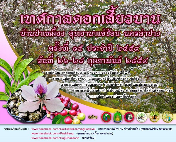 เทศกาลดอกเสี้ยวบาน ลำปาง เทศกาลดอกเสี้ยวบาน ลำปาง