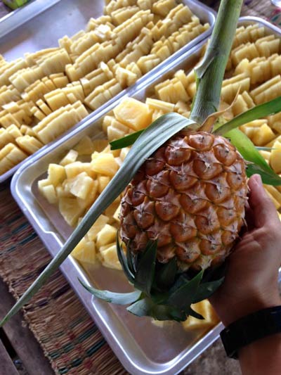 ที่เที่ยวรับลมร้อน ณ เมืองเลย ที่เที่ยวรับลมร้อน ณ เมืองเลย