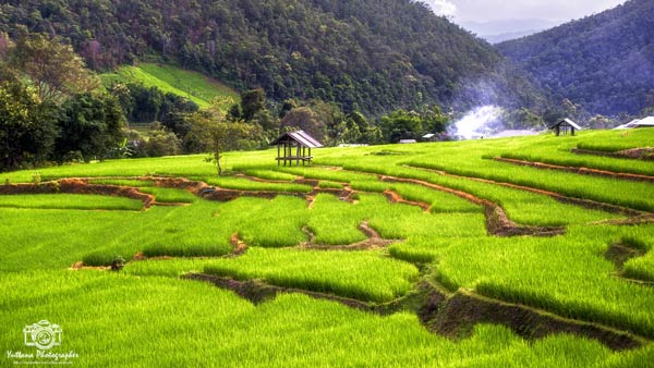 เที่ยวเชียงใหม่ เที่ยวเชียงใหม่