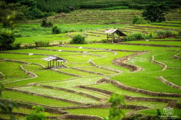 เที่ยวเชียงใหม่ เที่ยวเชียงใหม่