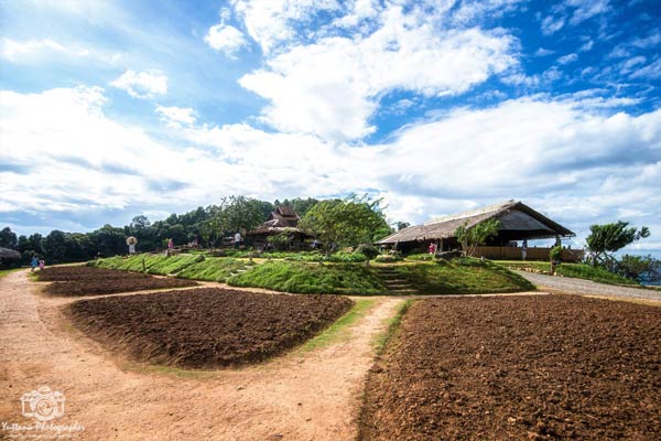 เที่ยวเชียงใหม่ เที่ยวเชียงใหม่