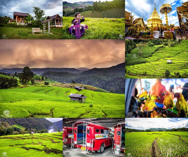 เที่ยวเชียงใหม่ เที่ยวเชียงใหม่