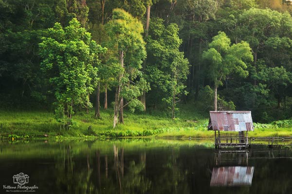 เที่ยวภูเขียว-ทุ่งกระมัง เที่ยวภูเขียว-ทุ่งกระมัง