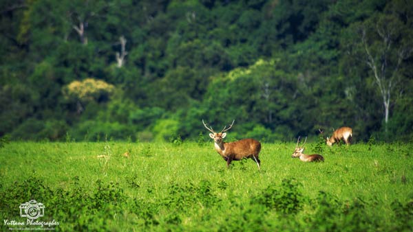 เที่ยวภูเขียว-ทุ่งกะมัง เที่ยวภูเขียว-ทุ่งกะมัง