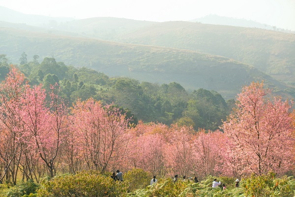 ภูลมโล ภูลมโล