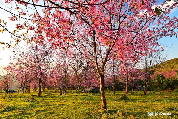 ภูลมโล ภูลมโล