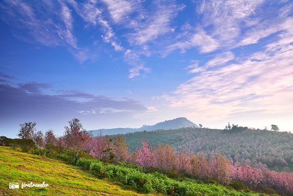 ภูลมโล ภูลมโล