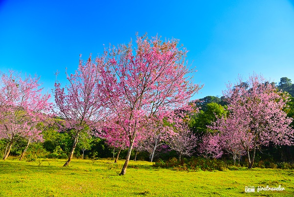 ภูลมโล ภูลมโล