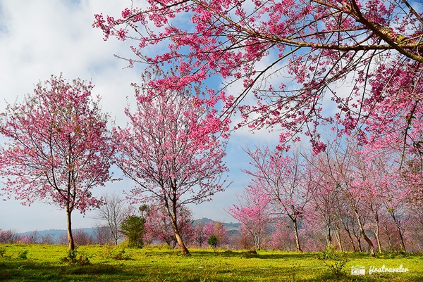 ภูลมโล ภูลมโล