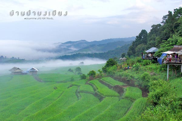 นาขั้นบันได เชียงใหม่ นาขั้นบันได เชียงใหม่
