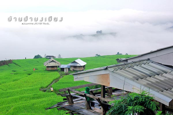 นาขั้นบันได เชียงใหม่ นาขั้นบันได เชียงใหม่