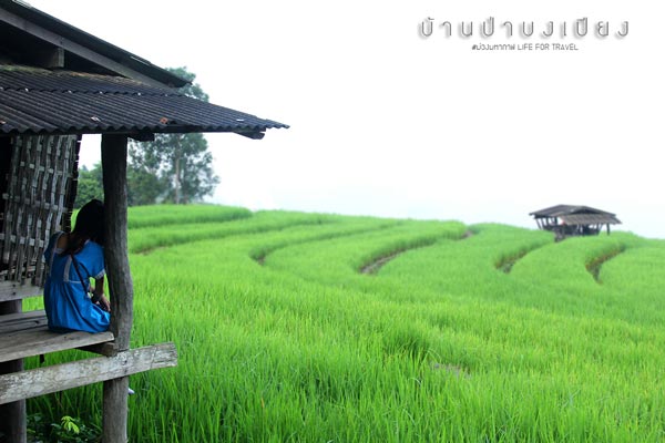นาขั้นบันได เชียงใหม่ นาขั้นบันได เชียงใหม่