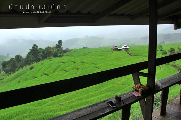 นาขั้นบันได เชียงใหม่ นาขั้นบันได เชียงใหม่