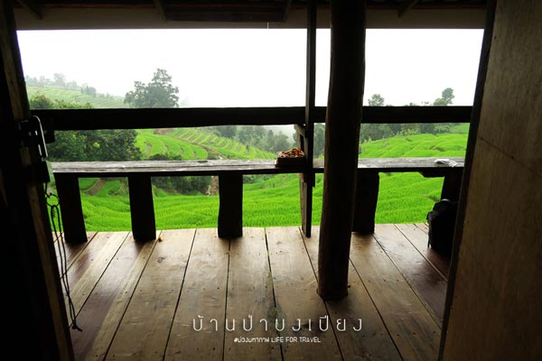นาขั้นบันได เชียงใหม่ นาขั้นบันได เชียงใหม่