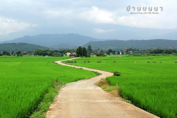 นาขั้นบันได เชียงใหม่ นาขั้นบันได เชียงใหม่