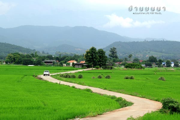 นาขั้นบันได เชียงใหม่ นาขั้นบันได เชียงใหม่