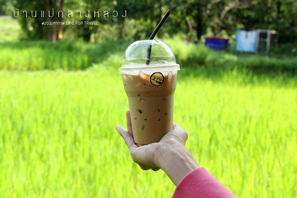 นาขั้นบันได เชียงใหม่ นาขั้นบันได เชียงใหม่