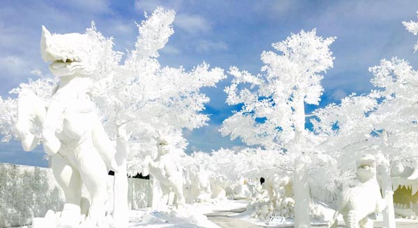 Frost Magical Ice of Siam Frost Magical Ice of Siam
