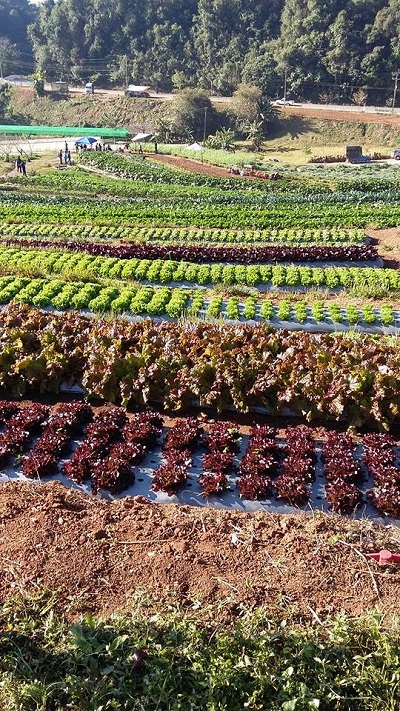 ที่เที่ยวพะเยา ที่เที่ยวพะเยา