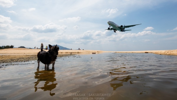 หาดไม้ขาว หาดไม้ขาว